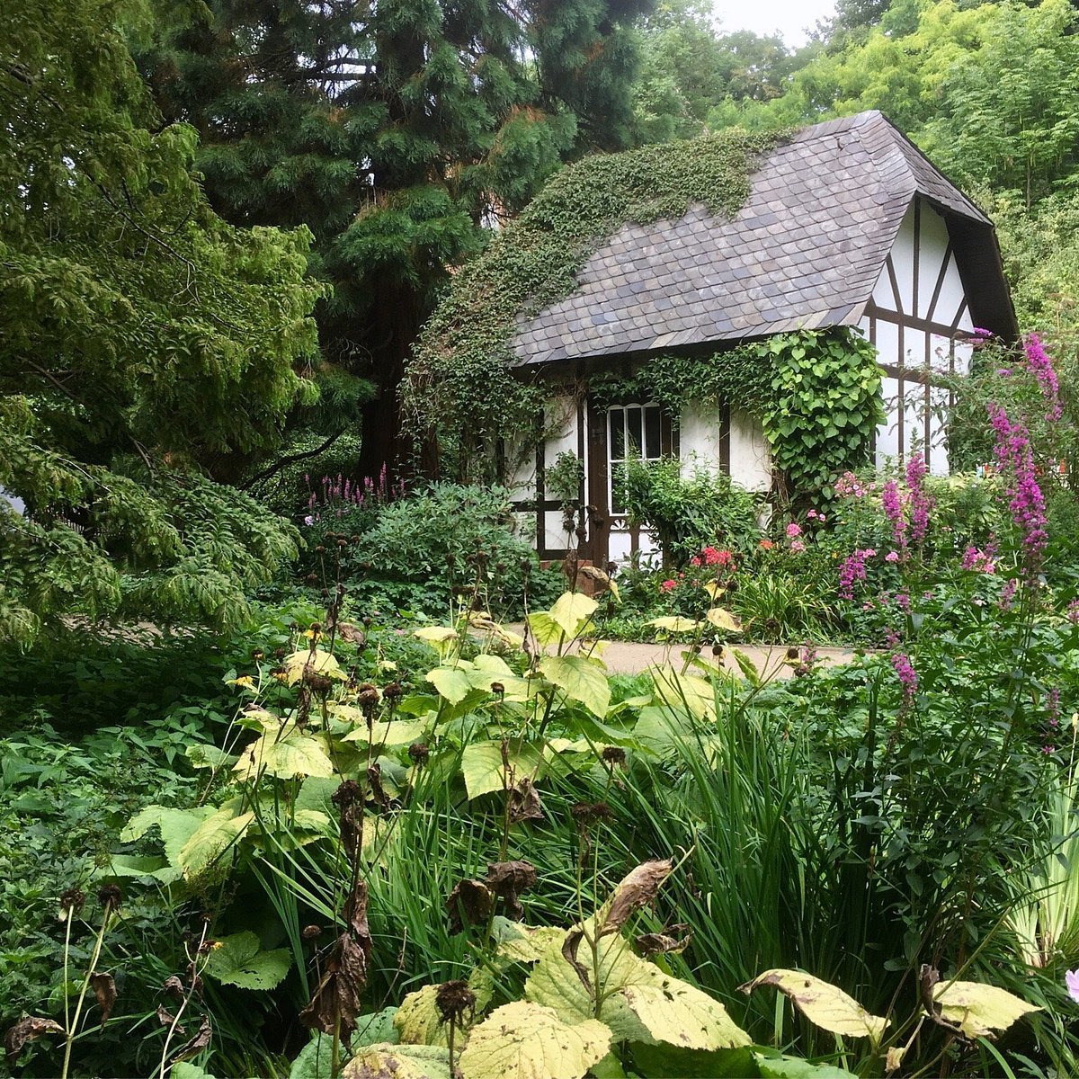 🌿 옛 식물원(알터 보타니셔 가르텐)